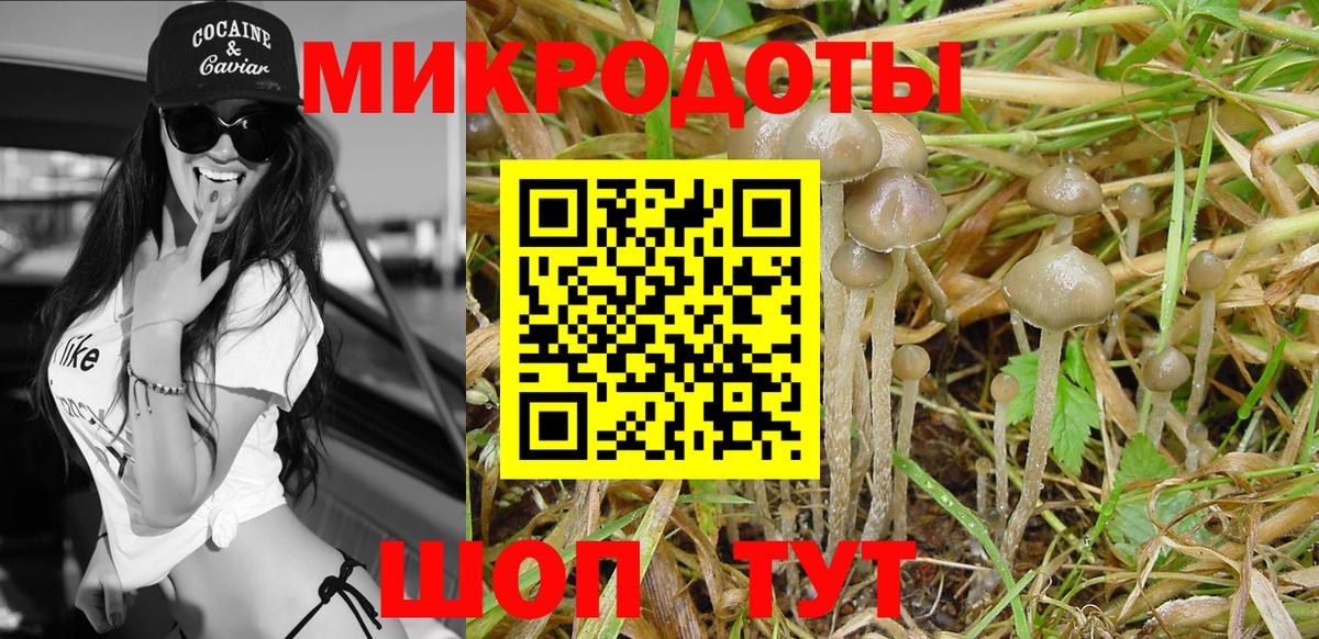 Галлюциногенные грибы мицелий  Галлюциногенные грибы мухоморы  Петрозаводск  Вход с VPN 